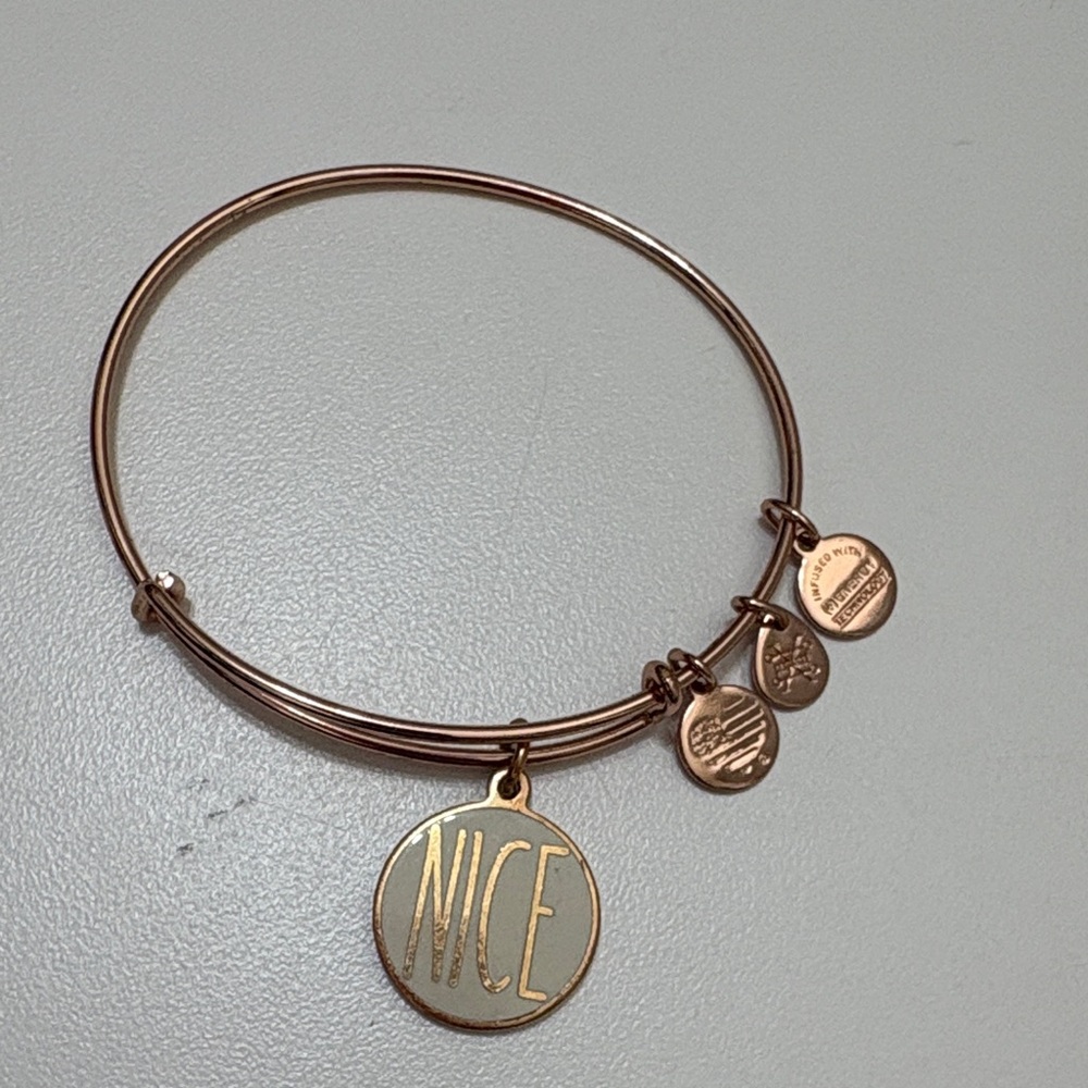Alex and Ani Rose Gold Charm Bracelet with 'NICE' and “NAUGHTY” Pendant